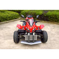 Jinyi Hot Selling 250cc EEC approuvé ATV (JY-250A)